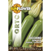 Immagine di SEMENTI ZUCCHINO GENOVESE