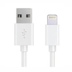 Immagine di CAVO USB RICARICA APPLE