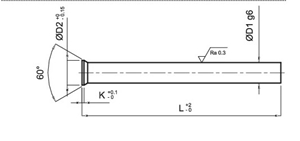 Immagine di ESPULSORE A TESTA SVASATA EES-1