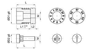 Immagine di DATARIO - EDA-B